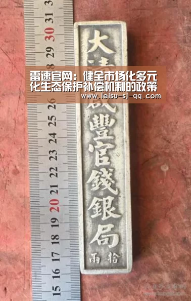 雷速体育比分直播