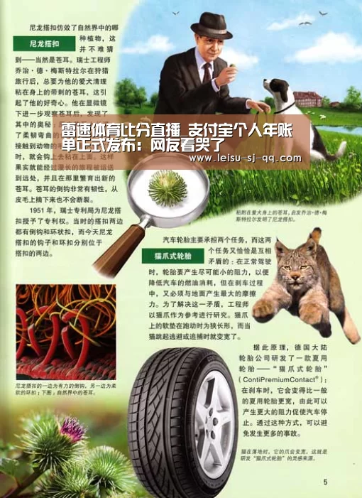 雷速体育比分直播_支付宝个人年账单正式发布:网友看哭了(图2) 雷速体育网页端