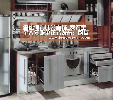 雷速体育比分直播_支付宝个人年账单正式发布：网友看哭了