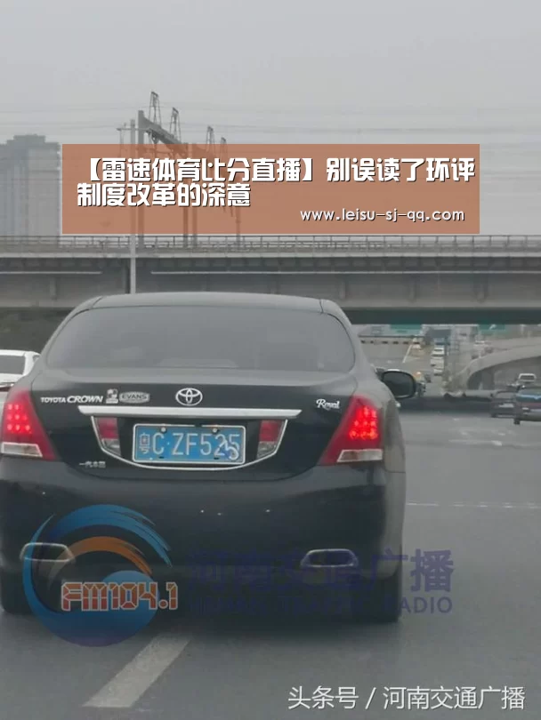 雷速体育