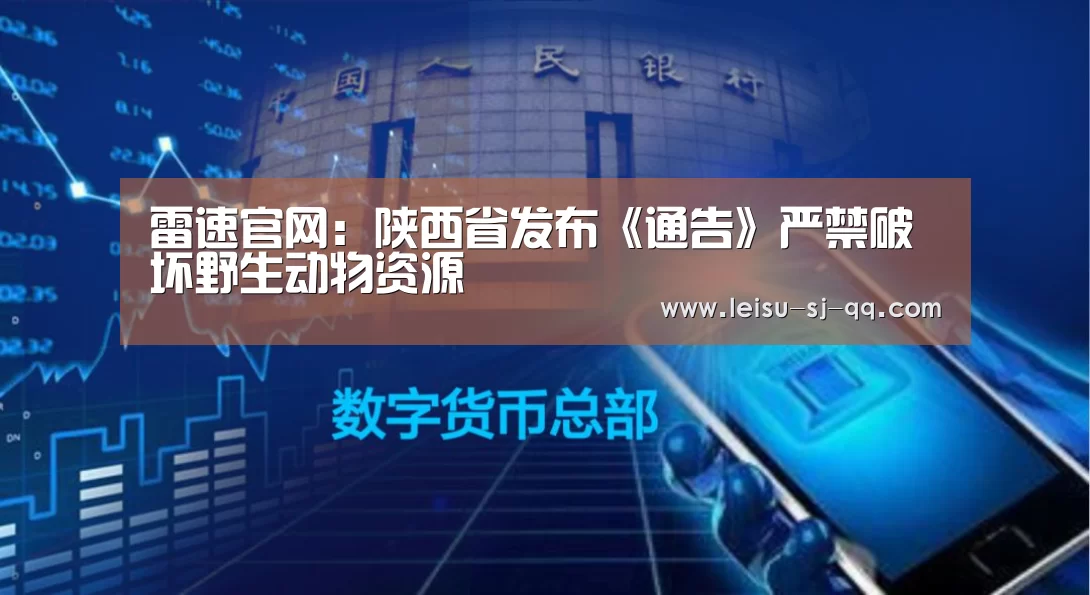 雷速体育比分直播