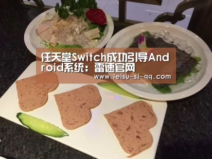 雷速体育网页端
