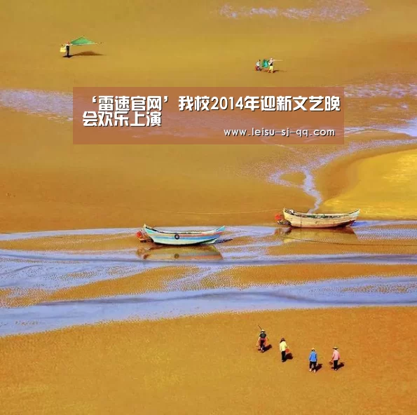 雷速体育网页版