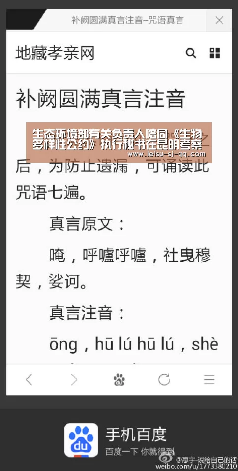 雷速体育