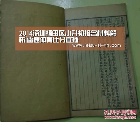 雷速体育网页版
